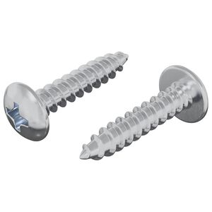 vidaXL Tr&auml;skruvar 2 pcs Silver M4 x 20 mm St&aring;l