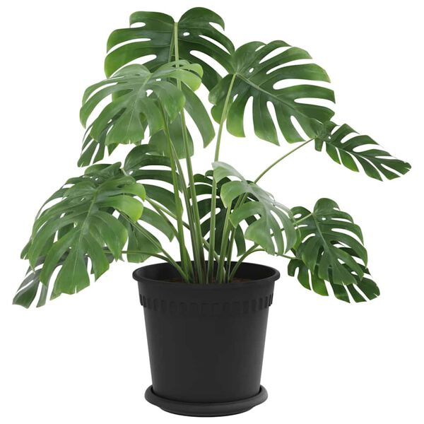 vidaXL V&auml;xtkrukor 24 pcs Svart &Oslash; 19 x 16 cm Plast