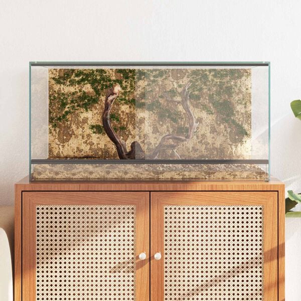 vidaXL Reptil- och amfibiehabitat med lagring Vit 80 x 40 x 40 cm Glas
