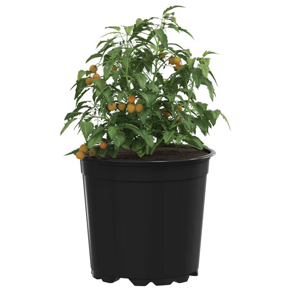 Visar produktbild 3 av 11