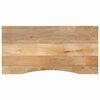 vidaXL Skrivbordsskiva med kurva 110x50x2,5 cm massivt grovt mangotr&auml;