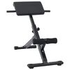 vidaXL Hyperextension b&auml;nk Svart 100,5 x 70 x 78 cm