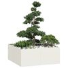 vidaXL Planteringsk&auml;rl vit 100x100x40 cm st&aring;l