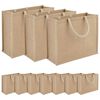 vidaXL Jutep&aring;sar 10 pcs Naturlig 42 x 33 x 19 cm 100% Tossa Jute