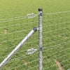 Produktminiatyrbild 4 av 11