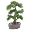 Emerald Konstv&auml;xt cederbonsai med brun bruka 45 cm