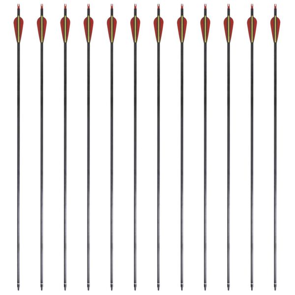 vidaXL Pilar för recurvebåge standard 30" 0,76 cm kolfiber 12 st