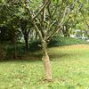Produktminiatyrbild 2 av 7