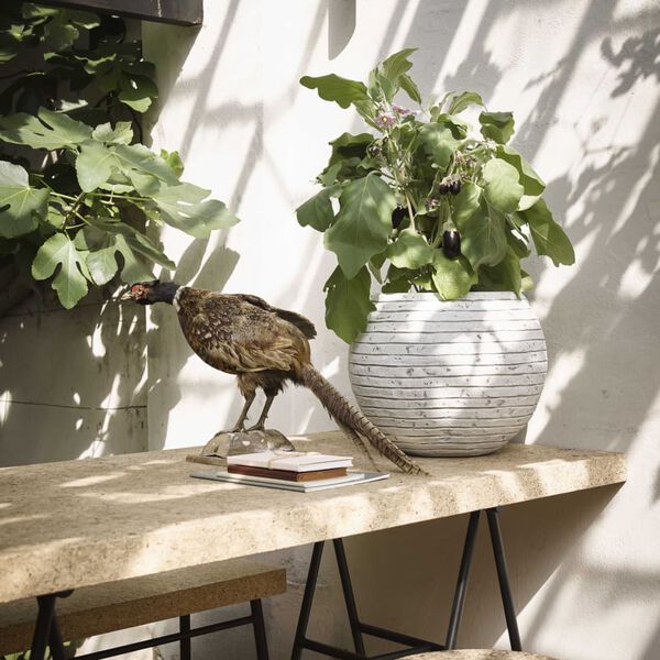 Capi Vas Nature Row 40x32 cm elfenbensvit KRWI270