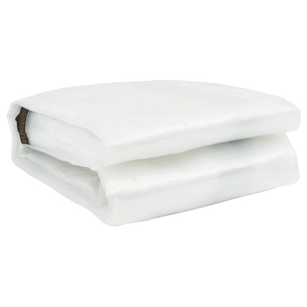 vidaXL Klar presenning med &ouml;ljetter 6x10 m polyeten