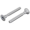 vidaXL Skruv 2 pcs Zinkbelagd 5 x 40 mm J&auml;rn