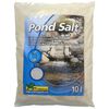 Ubbink Naturligt dammfiltermaterial PondSalt 10L
