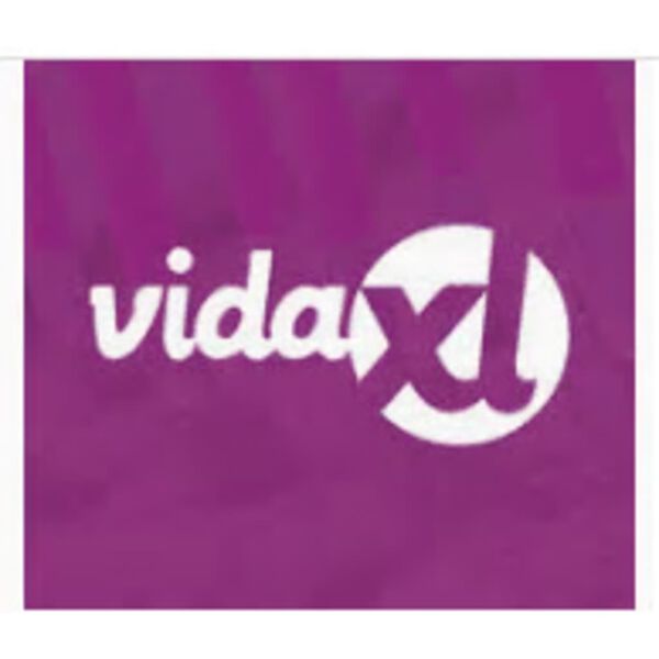 vidaXL Markisv&auml;v antracit 6x3 m