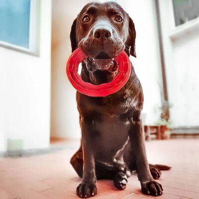 Ferplast Tandleksak för hund Smile Large 20x18x4 cm röd