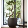 Produktminiatyrbild 6 av 15