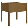 vidaXL Odlingsl&aring;da 2 st honungsbrun 70x70x70 cm massiv furu