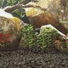 Produktminiatyrbild 2 av 5