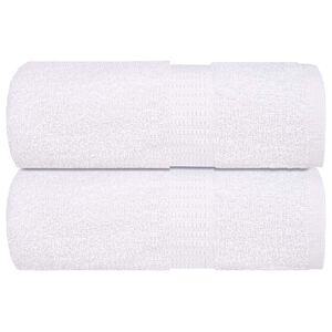 vidaXL Tv&auml;ttlappar FROGN 2 st vit 15x21 cm 360 gsm