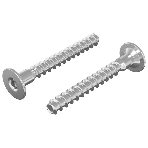 vidaXL Konfirmationsskruvar 2 pcs Silver &Oslash;5 x 40 mm Metall