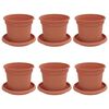 vidaXL V&auml;xtkrukor 6 pcs Murgr&ouml;n &Oslash; 12,5 x 10 cm Plast