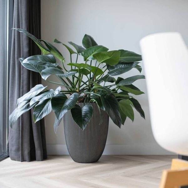 Capi Vas elegant Groove 34x46 cm antracitgr&aring;