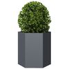 Produktminiatyrbild 5 av 13