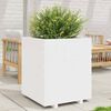 Produktminiatyrbild 2 av 10
