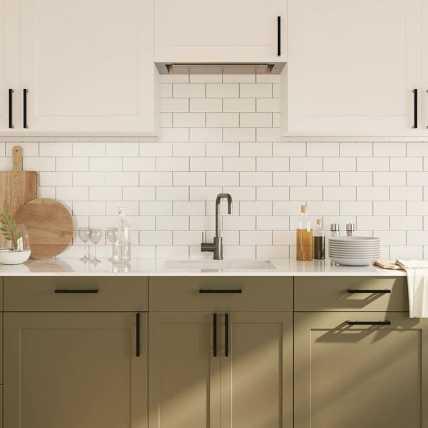 vidaXL Skåphandtag 10 st svart 160 mm rostfritt stål