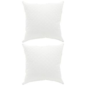 vidaXL Kudde FULDA 2 st 60 x 60 cm 100% G&aring;sdun och fj&auml;drar Vit
