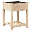 vidaXL Tr&auml;dg&aring;rdsplanterare Beige 60,5 x 60 x 76,5 cm Massivt Furu