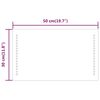 vidaXL Badrumsspegel LED 30x50 cm