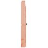 vidaXL K&ouml;ksluckor f&ouml;r utomhusbruk 2 st 50x9x82 cm douglastr&auml;