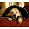 All Four Paws Hundkrage Comfy Cone XL 30 cm svart
