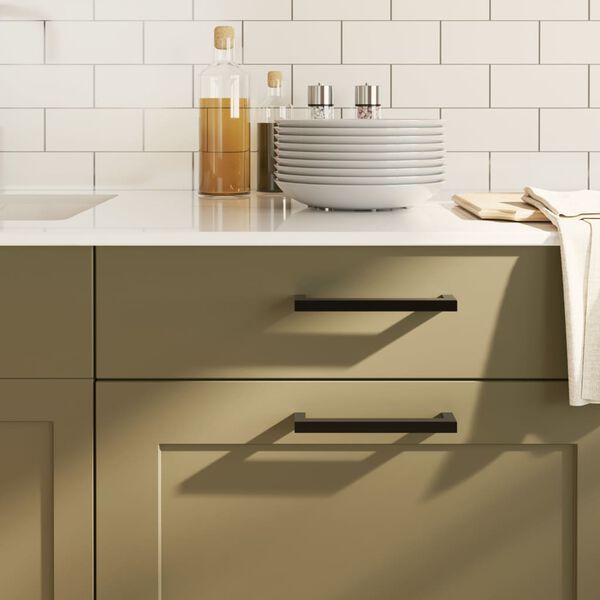 vidaXL Skåphandtag 10 st svart 160 mm rostfritt stål