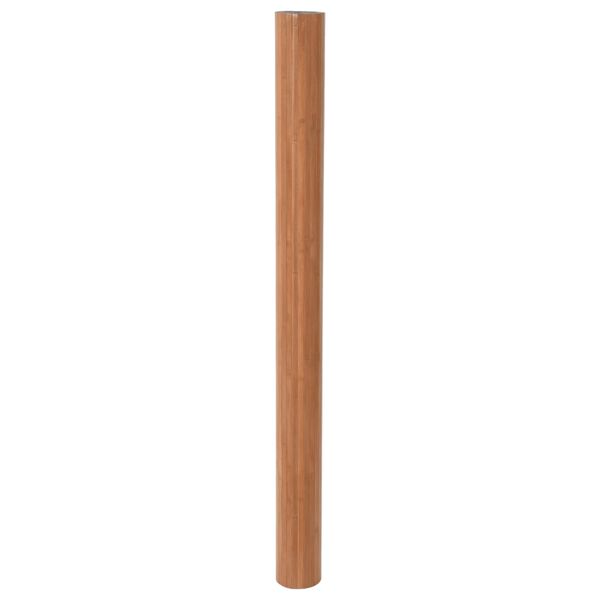 vidaXL Rumsavdelare brun 165x250 cm bambu
