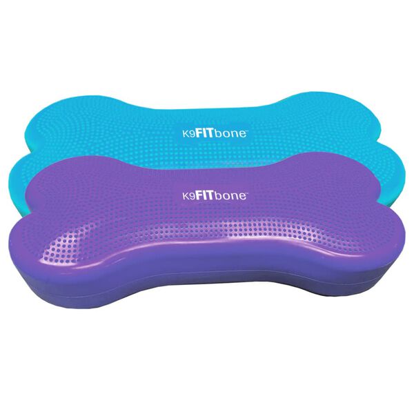 FitPAWS Balansplatta för husdjur Giant K9FITbone PVC aqua