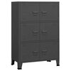 vidaXL Industriellt f&ouml;rvaringssk&aring;p antracit 75x40x115 cm metall
