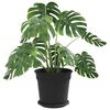 Produktminiatyrbild 3 av 12