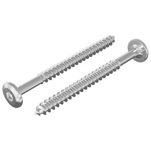 vidaXL Tr&auml;skruvar 2 st Silver M6 x 70 mm St&aring;l
