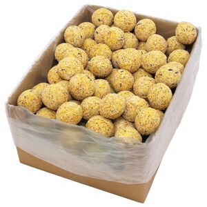 vidaXL Talgbollar f&ouml;r f&aring;glar 200 st 90 g