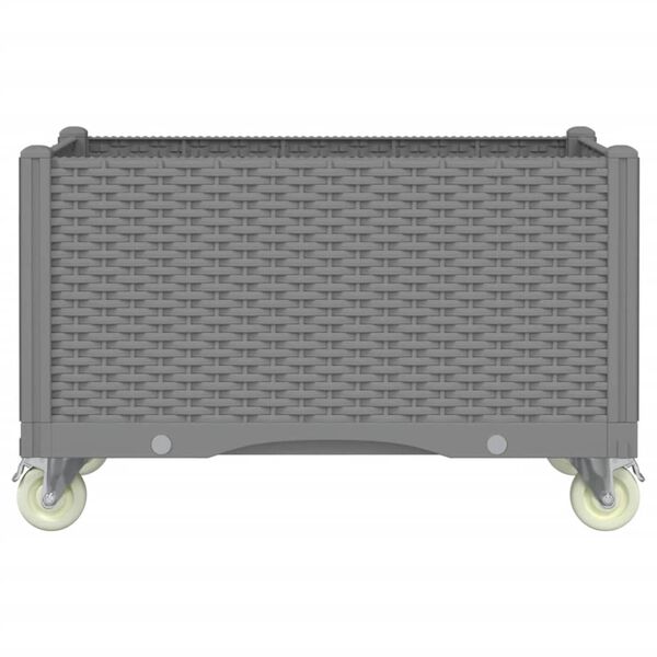 vidaXL Odlingsl&aring;da med spalj&eacute; ljusgr&aring; 80x50x54 cm PP