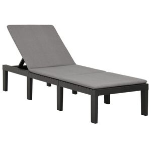 vidaXL Sols&auml;ng med dyna plast antracit