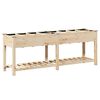 vidaXL Tr&auml;dg&aring;rdsplanterare Beige 203,5 x 53 x 76,5 cm Massivt Furu