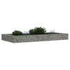 vidaXL Planteringsgabion upphöjd galvaniserat stål 200x100x20 cm