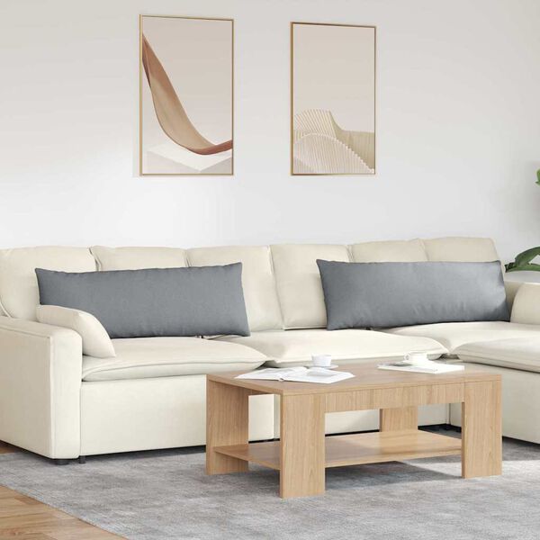 vidaXL Sofakuddar 2 pcs Ljusgrå 120 x 40 cm tyg