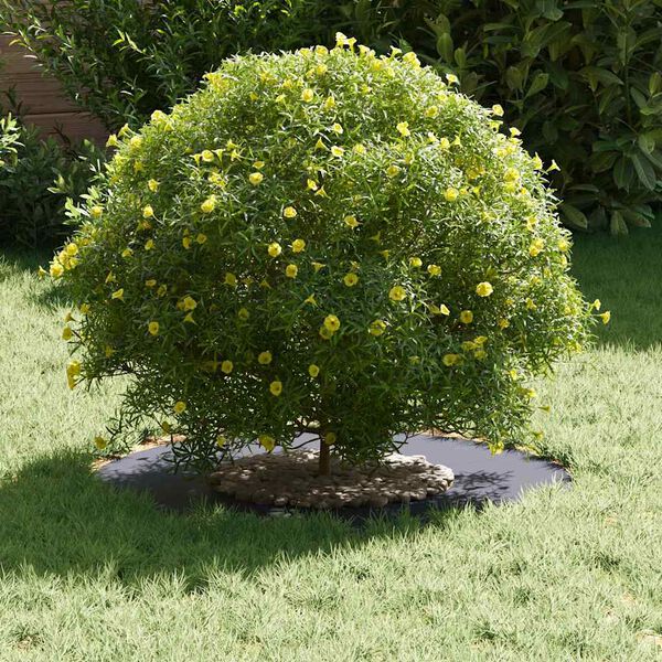 vidaXL l&auml;mplig f&ouml;r Flat tr&auml;dring Antracit &Oslash;30 / 60 cm St&aring;l