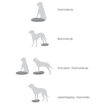 FitPAWS Balansplatta för hund 36 cm lila