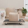 vidaXL Transportplattor 2 st rektangul&auml;r 80x55x11,5 cm 250 kg