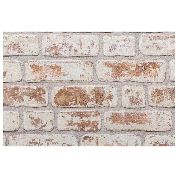 vidaXL V&auml;ggpaneler 10 pcs R&ouml;d och Vit 100 x 50 cm EPS Skum