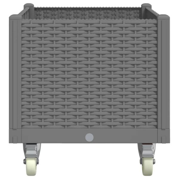 vidaXL Odlingsl&aring;da med spalj&eacute; ljusgr&aring; 80x50x54 cm PP